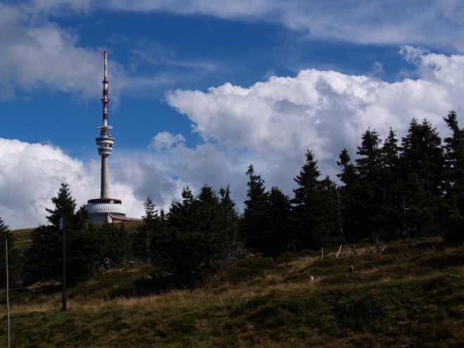 Vrchol Pradědu a jeho široké okolí je vyhlášeno národní přírodní rezervací, která se těší mezinárodnímu významu. Její součástí je vrchol Pradědu, Bílá Opava, Divoký důl, Petrovy kameny, Velká Kotlina a Malá kotlina. Na ploše 2031 ha se nachází vzácná alpínská společenstva, lesní porosty pralesovitého charakteru, ledovcové kary a další. V rezervaci se nachází řada jedinečných společenstev s množstvím vzácných druhů rostlin a živočichů. Oblast Velké kotliny je floristicky nejbohatší lokalitou v ČR.