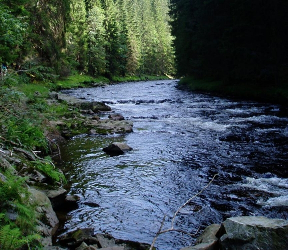 Cesta kolem břehu