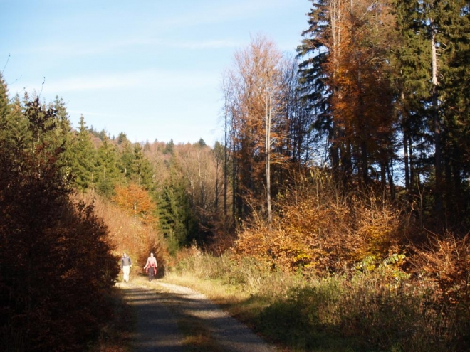 Sestup K Lenoře.