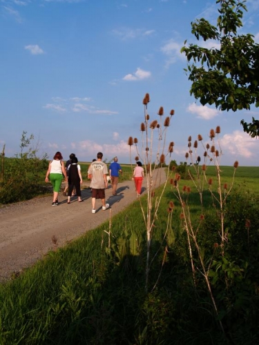 Následné "ozelenění".