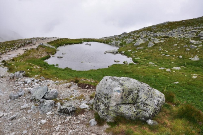 Já tak mám čas fotit a využívám toho. Mlhy mi nevadí, syrovost této krajině sedí.