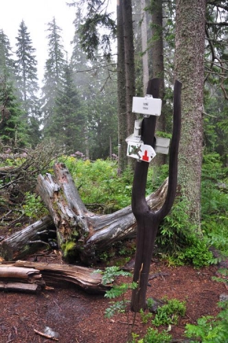 Na vrcholu Slemä (1 415m) je odbočka k Dakotě, za 2.světové války zde zřícenému letadlu. Další hledání v ledově mokré trávě odmítáme a raději po krátkém občerstvení jdeme k Ohništi.