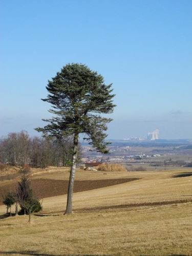 Krajina s JETE.