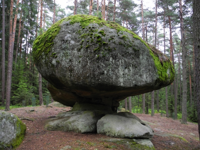 Naturpark Blockheide. Pilzstein.