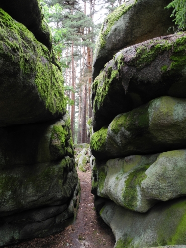 Naturpark Blockheide.