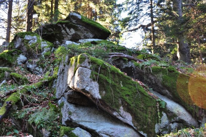 Vrchol Nad Hospodárnicí je rozlehlý. Vystoupali jsme na skálu v přední části temene a dále ho nezkoumali...