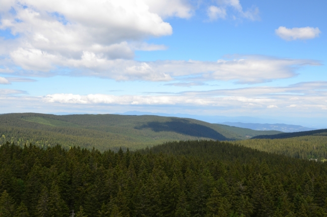 Na severu, či spíše severozápadě, vyčnívá za hustými lesy Pohorje hřeben rakouských Alp. S pomocí trojrozměrných map od Googlu (skvělý nástroj) se mi povedlo určit, že nejvyšší vrchol v pozadí je patrně Großer Speikkogel (2140 m) vzdálený přes 40 km. Vpravo je zas viditelný malý hřeben na slovinsko-rakouské hranici.