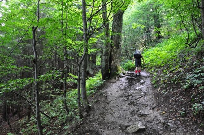 Krok nahoru, půl kroku dolů. Výstup na Reváň (1 204 m n. m.) je velmi nepříjemný. Mazlavé bláto se lepí na boty a neuvěřitelně klouže. Chvilku se cítím jako v gumákách na ledě.