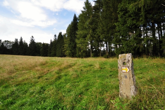 Od Alpské vyhlídky rozhled prakticky chybí. Jak to bylo v době, kdy tento název zde vznikl, nevím.