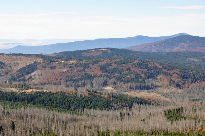 Schachtenhausriegerl (1 168 m n. m.) jsem identifikoval po značném úsilí. V pozadí Falkenstein a Velký Javor (1 456 m n. m.).