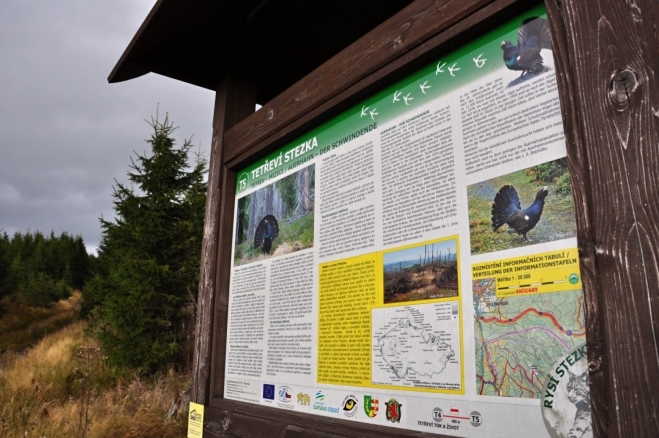 Tetřeví stezka vede, jak je to v NP Šumava špatným zvykem, od Železné Rudy k rozcestí Pod Polomem po asfaltové cestě využívané i jako cyklostezka. Doufal jsem, že je proznačena stezka přes Polom, ale kde že. Zase je to jen plácnutím do vody. Tak alespoň díky za ceduli se zajímavými údaji o tetřevu. 