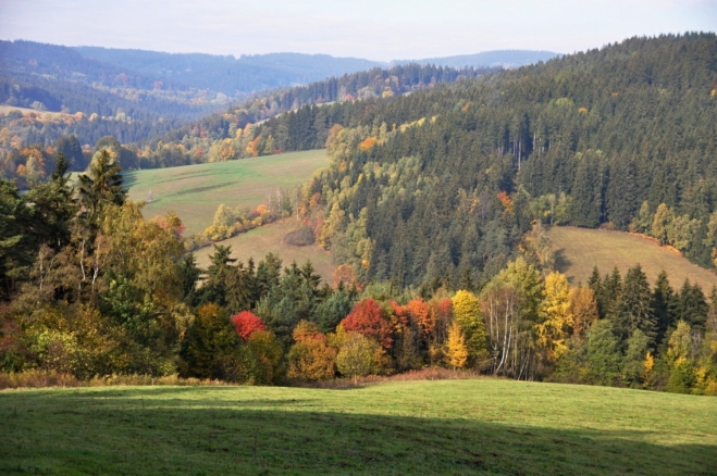 PR Žežulka.