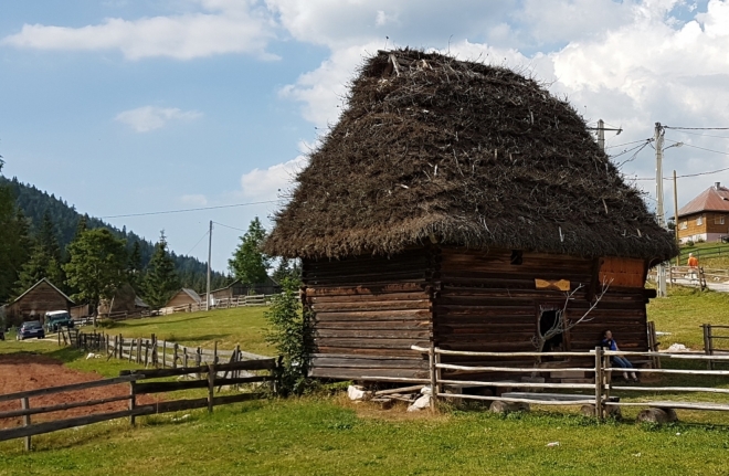 Ghețari...