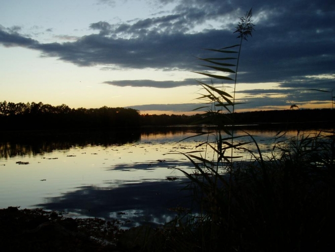 Zlivský rybník (Horný) je začleněn do oblasti Natura 2000 – Českobudějovické rybníky.