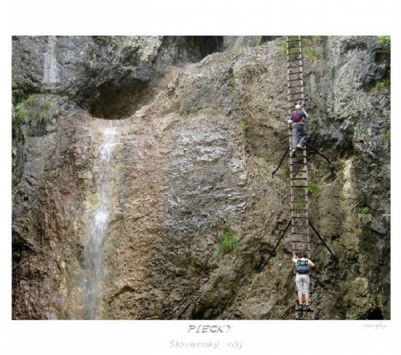 Fotografie uživatele Rony