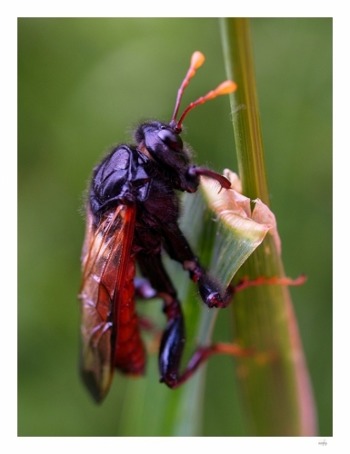 Fotografie uživatele Rony