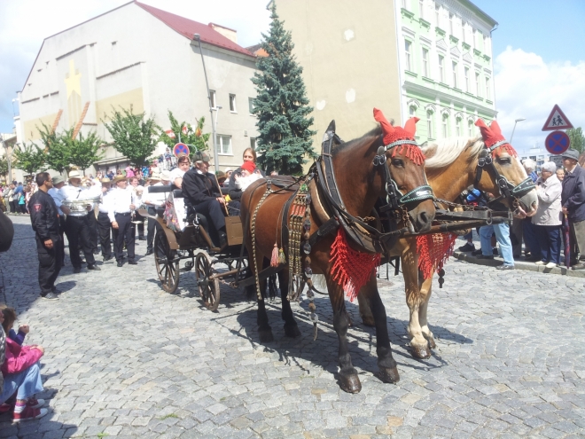 Fotografie uživatele HoHo