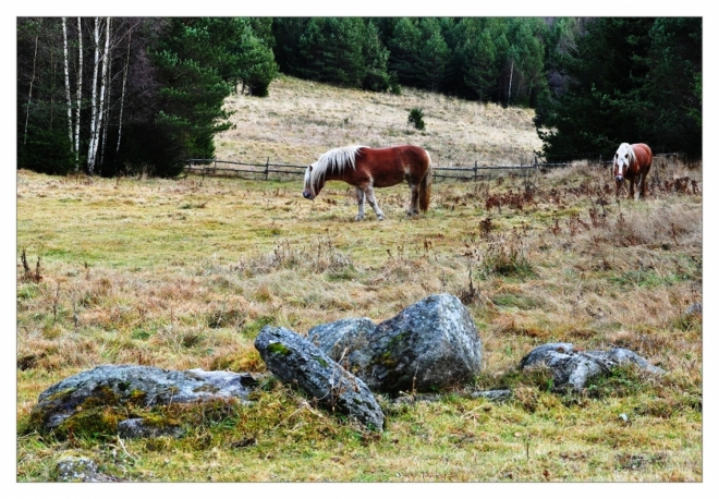 Fotografie uživatele Rony