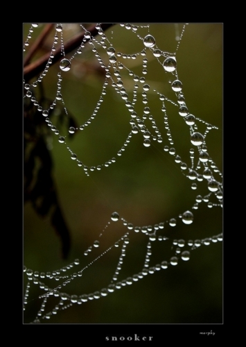 Fotografie uživatele Rony