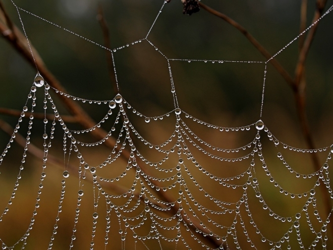 Fotografie uživatele Rony