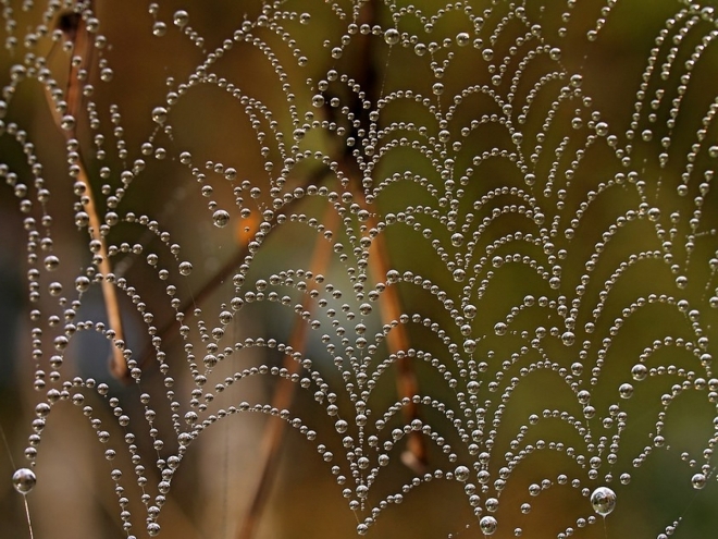 Fotografie uživatele Rony