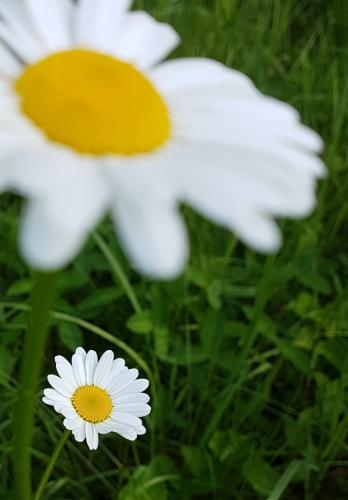 Fotografie uživatele Rony