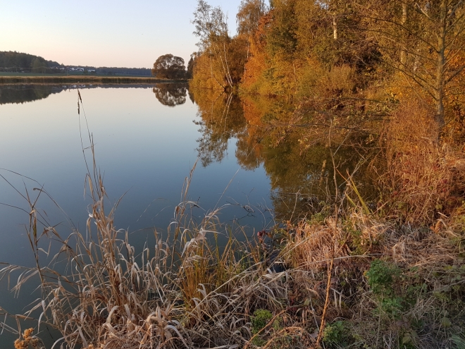 Fotografie uživatele Rony