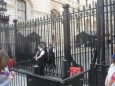 Downing street