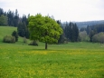 Krajinou luk a lesů stále nabíráme výšku, většina naší cesty vede v tisícimetrové výšce.