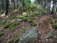 Kamenné valy jsou kolem vrcholu v délce 1,5km.