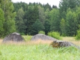 Naturpark Blockheide.