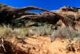 Utah, National Park Arches - Landscape Arch. Tady se nám nevyplatila kázeň. Fotografie je pořízena z vytýčeného chodníku. Kolegové, kteří na ohraničení nedbali, se dostali podstatně blíž a na fotografii mají oblouk proti výrazně větší ploše oblohy. Snímek pak vypadá nesrovnatelně lépe.