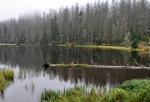 Laka, nebo také Pleso, je sice ledovcového původu, má ale uměle navýšenou hráz. Bez ní by mělké jezero již zřejmě zcela zaniklo.