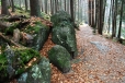 Stezka vede kolem břehu, vlevo pak odbočuje výstupová trasa na vrchol Grosser Arberu, tedy Velkého Javora (1 456m).