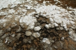 California, Death Valley, Badwater - detail