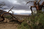 California, Death Valley, Mesquite Sand Dunes - krajina