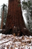 California, Sequoia National Park 