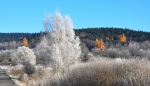 Nad Maňávku vystupuje vrch Nad Starou Hutí.