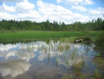 Národní park Lahemaa, tábořiště RMK