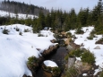 Stocký potok pramení nedaleko vrcholu Plechého (1 378m).