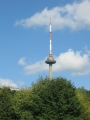 Vilniuská televizní věž