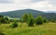 Vysokým hřbetem (1 078m n. m.) vede zelená TZ hezkými bučinami až k Rovině a Dobré Vodě.