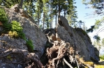 Vrcholem Špičáku je tato skála (1 201 m n. m.) na asi 100m dlouhém a postupně se svažujícím skalnatém hřebenu.