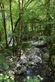 Drobný přítok řeky Tolminky, Triglavský národní park