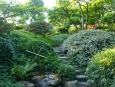 Úzké kamenné cestičky dokreslují romantickou atmosféru japonské zahrady