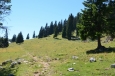 Velika Planina, Slovinsko