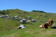 Velika Planina, Slovinsko