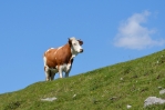 Velika Planina, Slovinsko