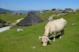 Velika Planina, Slovinsko