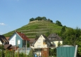 Hora s vinicemi nad Weinsbergem